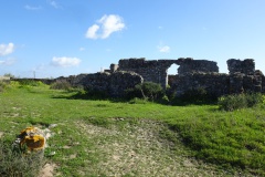 1_DSC03304