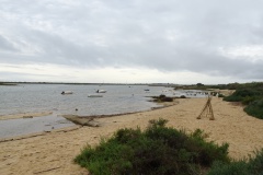DSC03279
