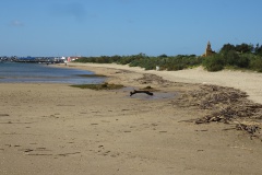 DSC03311