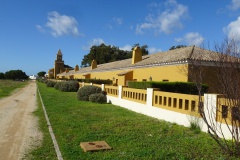 DSC03315