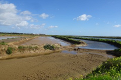 DSC03320