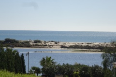 DSC03345