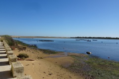 DSC03348