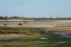 DSC03355