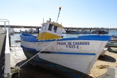 DSC03494