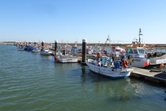 DSC03505