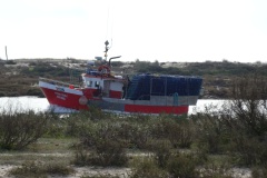 DSC03529