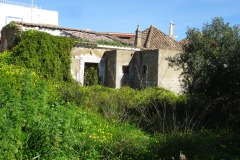 DSC03548