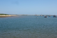 DSC03584