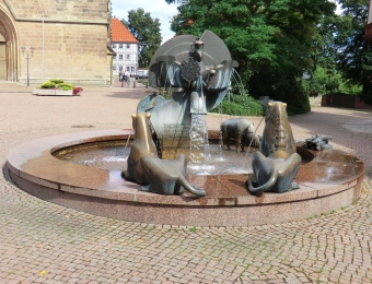 CIMG0456