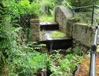 CIMG0511