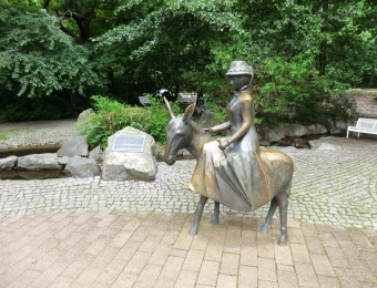 CIMG0537