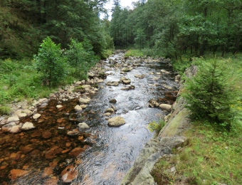 CIMG0551