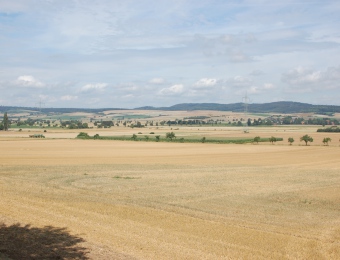 DSC_0688